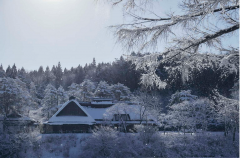 软萌萌的动物主题客房，治愈力满分！开启北海道的冬日旅行